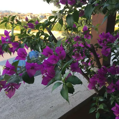 Luxury Penthouse Ponte Flaiano